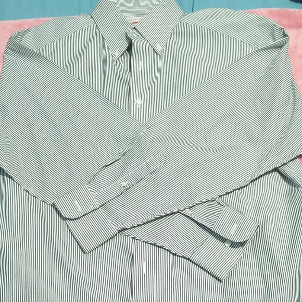 Roundtree & Yorke Men's Sage Striped Button Down Shirt
